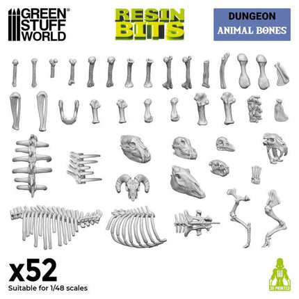 3D Print - Dungeon - Animal Bones