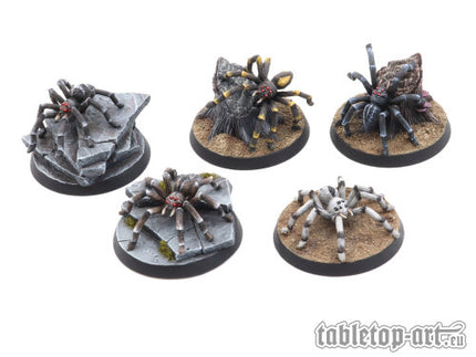 Giant Spiders Set (5) (TTA200253)